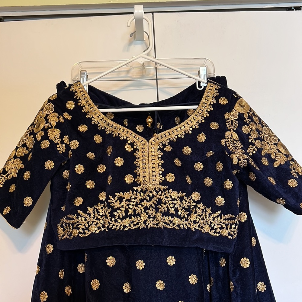 Blue velvet heavy gold embroidery Lehenga Choli - Picture 8 of 15